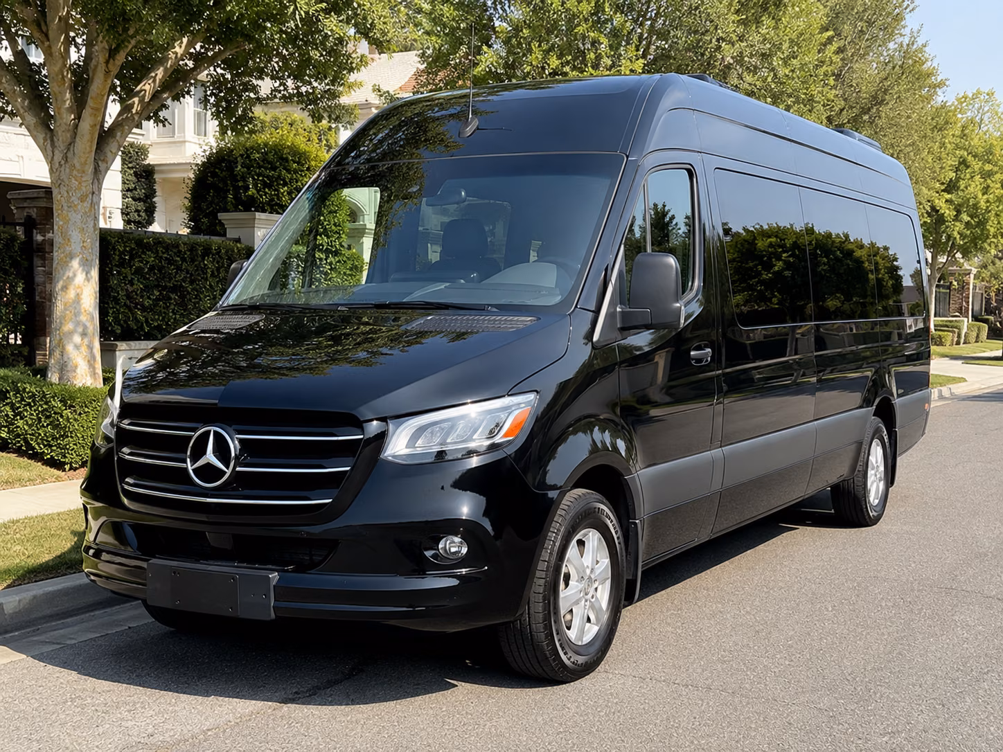 homestead sprinter limousine